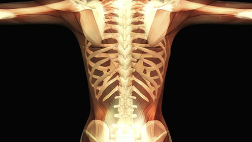 颈项韧带钙化症是什么症状和表现用中医来解释