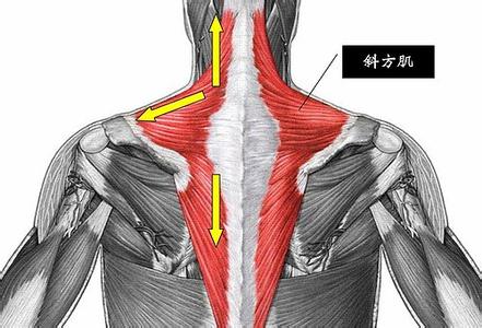 上臂筋膜间隔综合征是什么症状和表现用中医来解释