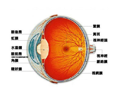 视网膜色素变性是什么症状和表现用中医来解释