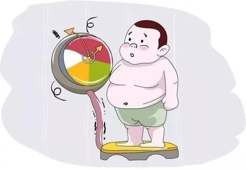 肥胖症是什么症状和表现用中医来解释