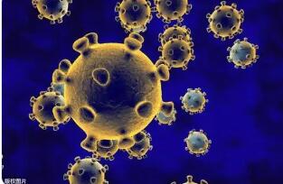 什么叫传染?什么叫免疫?传染与免疫有什么关系?