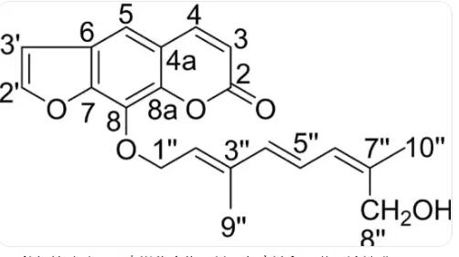 呋喃类药物的化学结构中都含有5