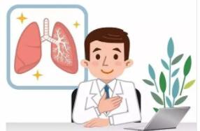 肺的结构与机能有什么关系?