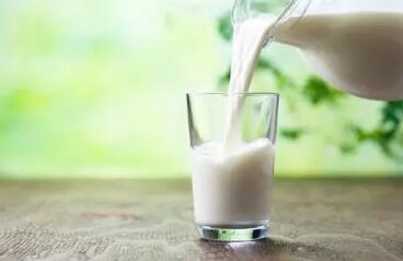 牛奶的营养价值与牛肉保健功能何在?